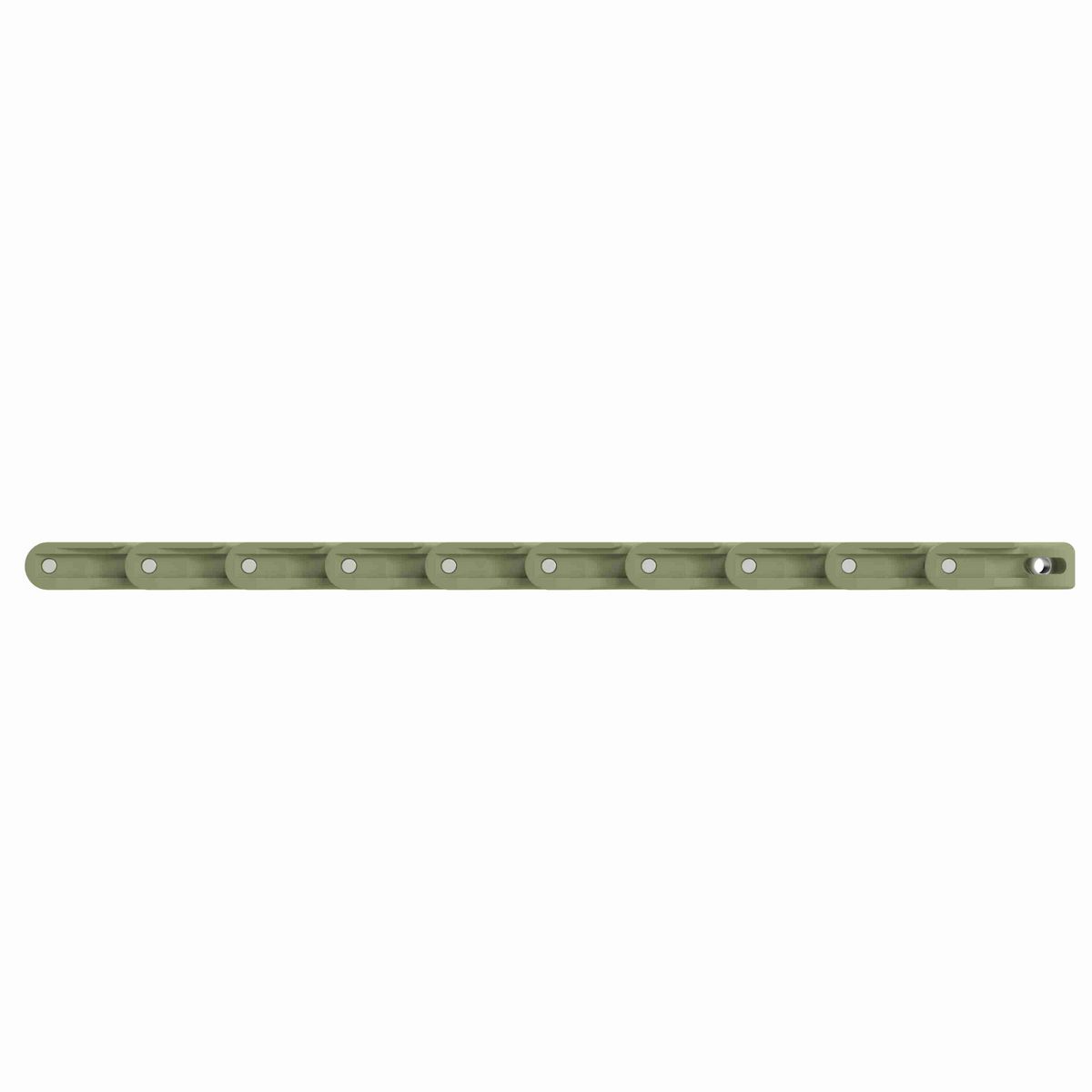 Rexnord 1700 Side-flexing Solid Top, Material: Green Abrasion Resistant Polyamide, Width: 55mm, Pitch: 50mm - 81437621