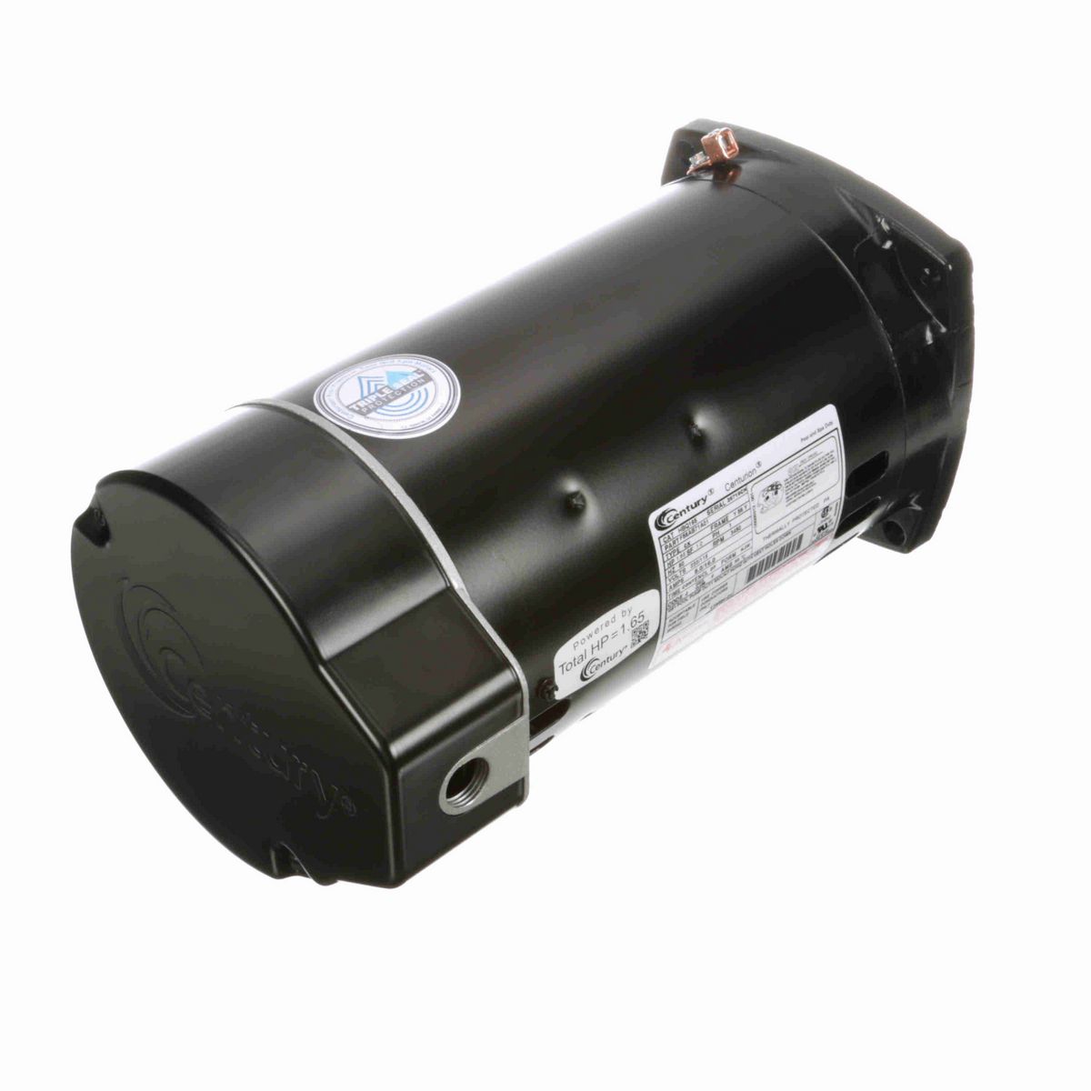 Century Pool Pump Motor, 1.65 HP, 1 Ph, 60 Hz, 230/115 V, 3600 RPM, Y56Y Frame, DP - HBQ165