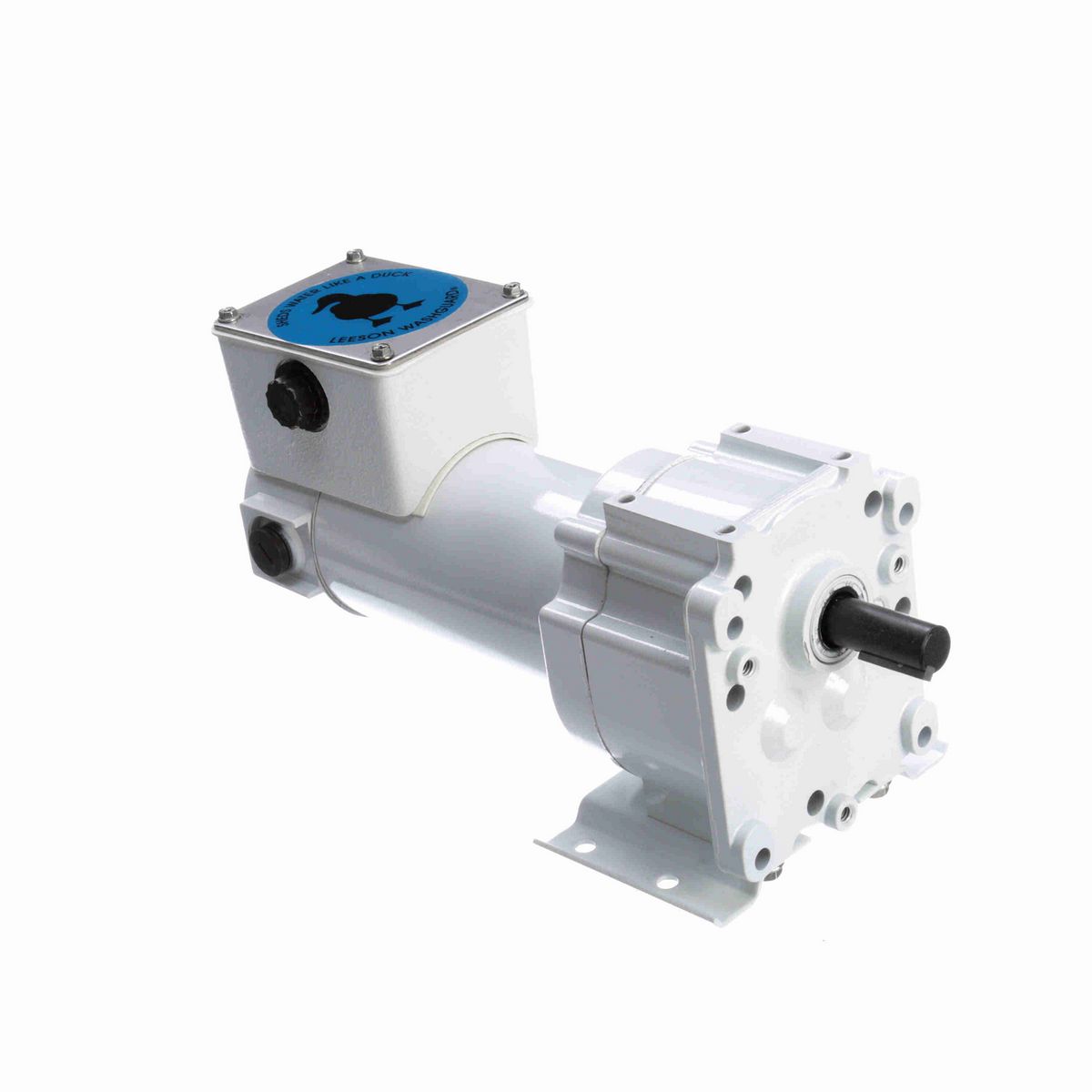 LEESON White Duck™ Parallel Shaft Gearmotor, 0.13 HP, 90 V, 31 RPM, 31 Frame, TENV - M1125262.00
