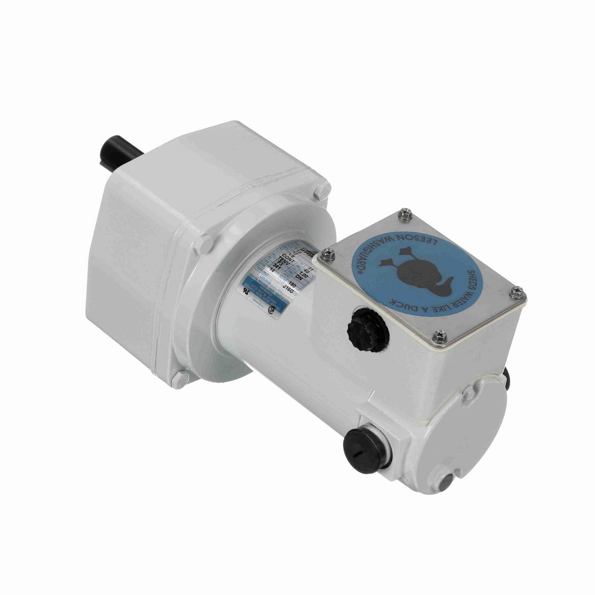 LEESON White Duck™ Parallel Shaft Gearmotor, 0.13 HP, 12 V, 14 RPM, 31 Frame - M1125273.00