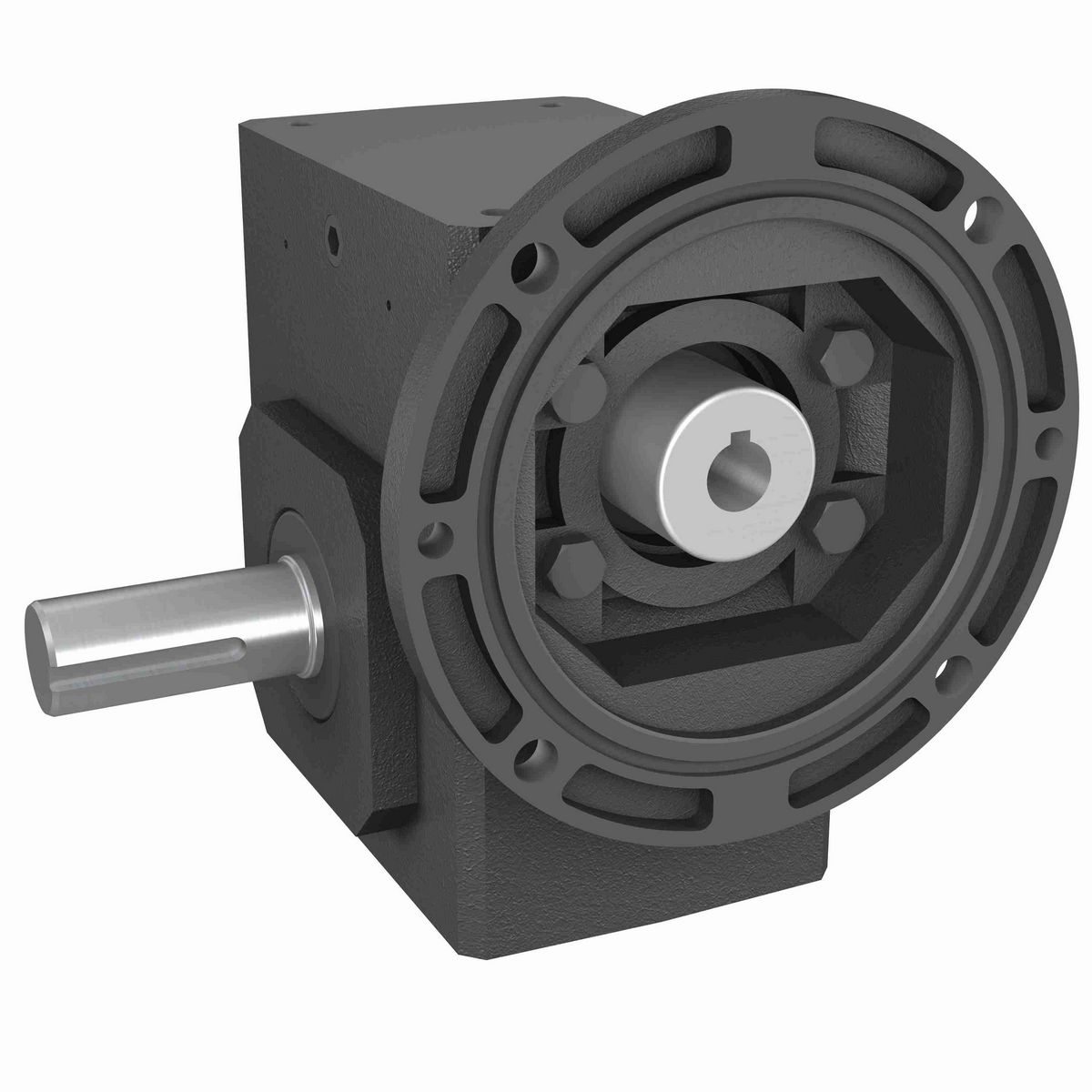 Hub City PowerCubeX Worm Gear Reducer Cast Iron Single-Reduction Worm Reducer - 244L 20/1 B WR 56C