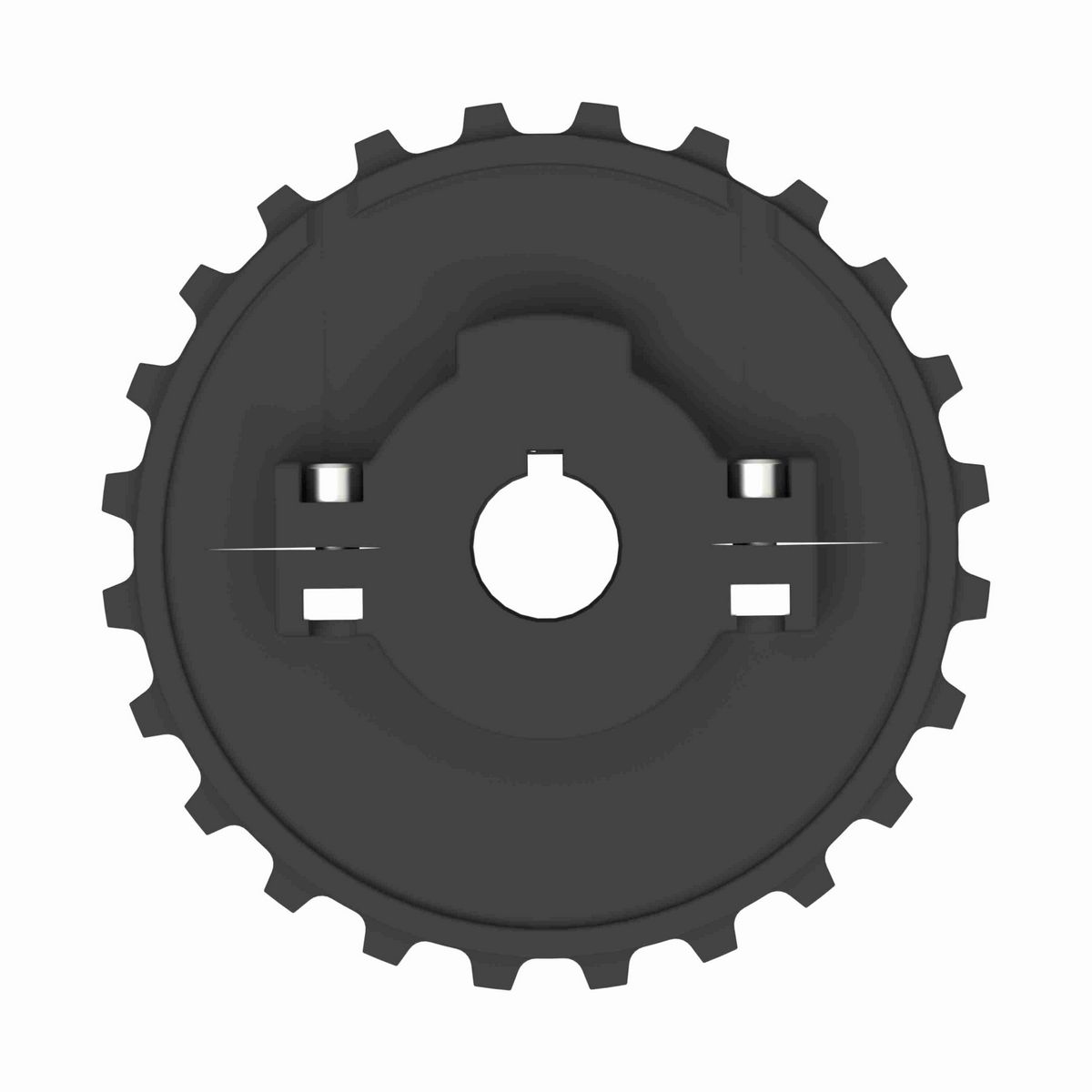 Rexnord 5930 Series Split Molded Nylon Sprocket with 24 Teeth and 25mm Round Shaft-Ready Bore with Keyway - 614-107-25
