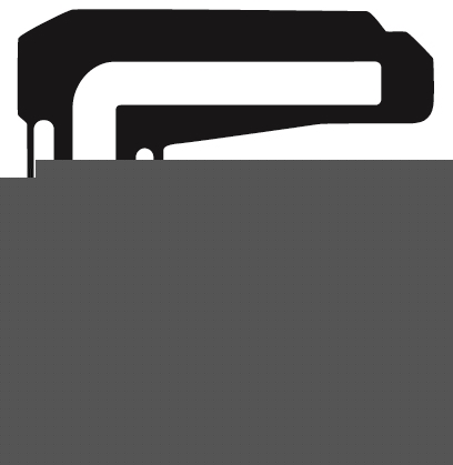 Oil Seals Metric Timken 23X42X11-RLS35-S