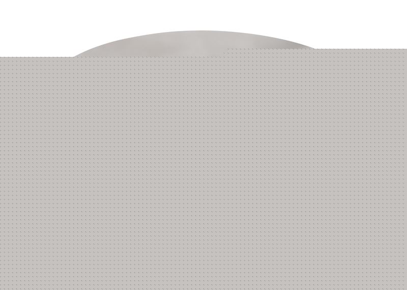 Конический роликовый упорный подшипник RBC TRTB921