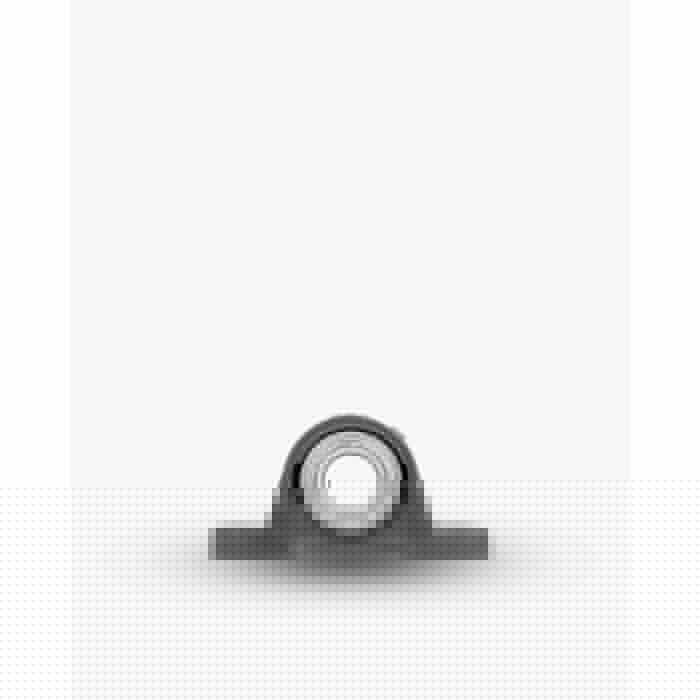 Подшипниковый узел NKE RCJTY25-MON