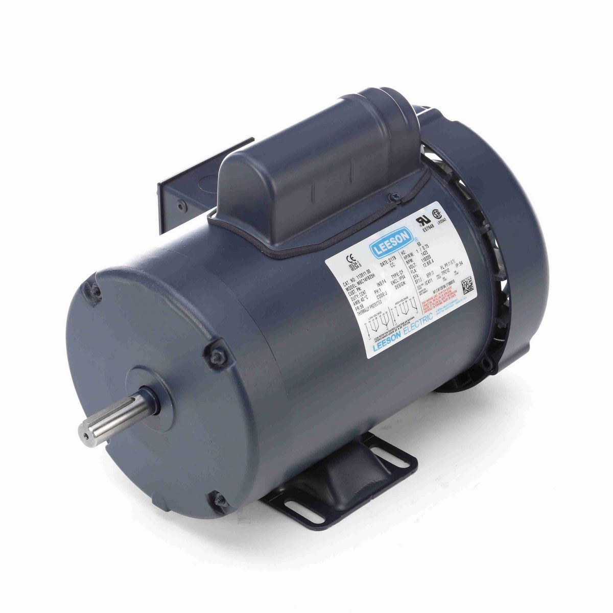 LEESON Special Voltage Motor, 1 HP, 1 Ph, 50 Hz, 110/220 V, 1500 RPM, 56 Frame, TEFC - 113911.00