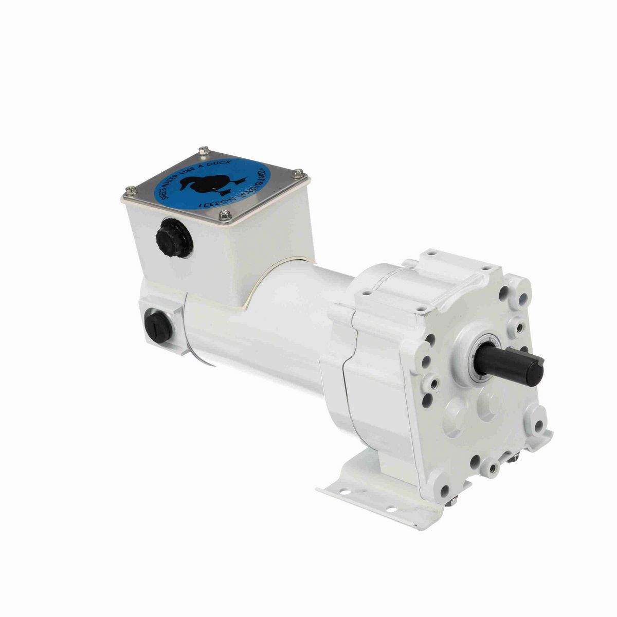 LEESON White Duck™ Parallel Shaft Gearmotor, 0.13 HP, 90 V, 167 RPM, 31 Frame, TENV - M1125265.00