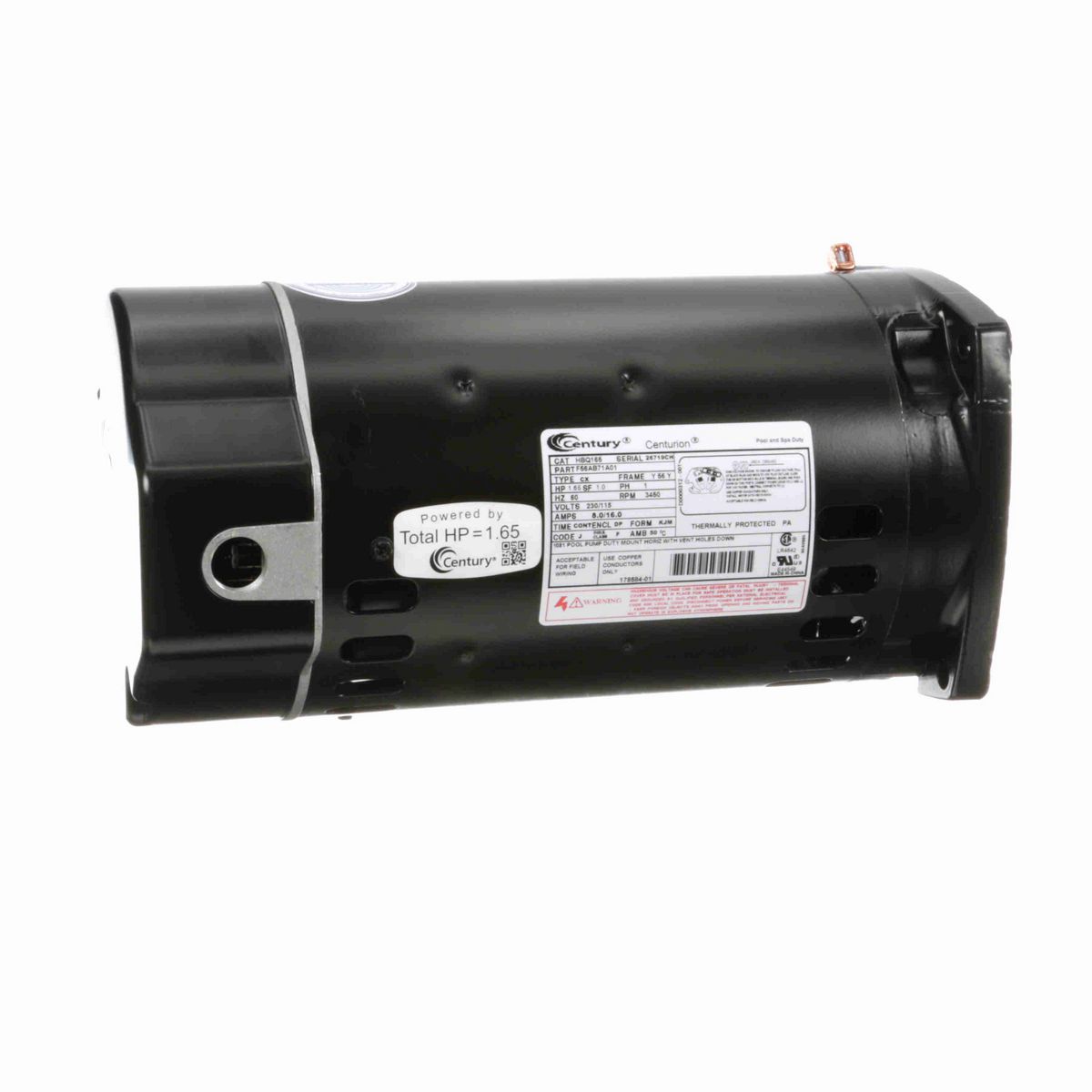 Century Pool Pump Motor, 1.65 HP, 1 Ph, 60 Hz, 230/115 V, 3600 RPM, Y56Y Frame, DP - HBQ165