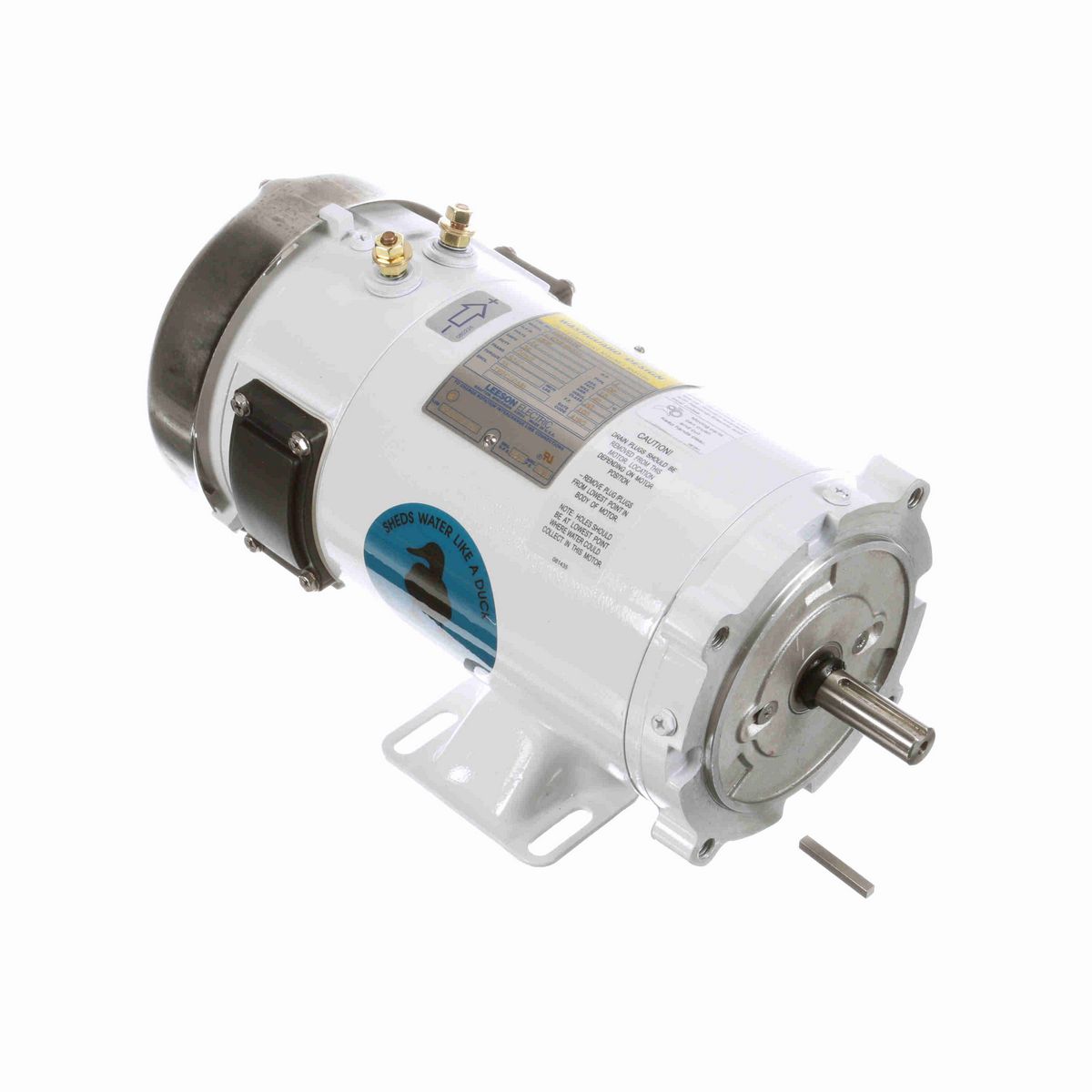 LEESON Washdown Motor, 1 HP, 24 V, 1800 RPM, S56C Frame, TEFC - 109303.00