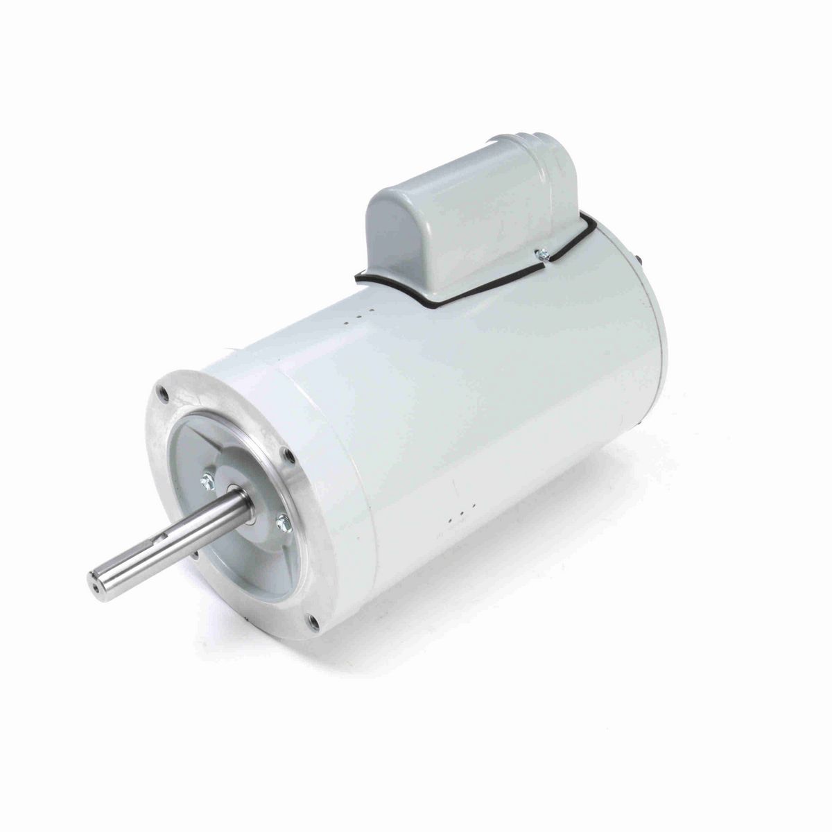 LEESON Fan and Blower Motor, 1 HP, 1 Ph, 60 Hz, 230 V, 900 RPM, 56CZ Frame, TEAO - A009644.00