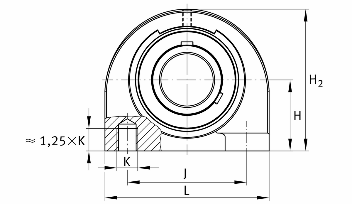 Узел стационарного корпуса FAG UCPA208