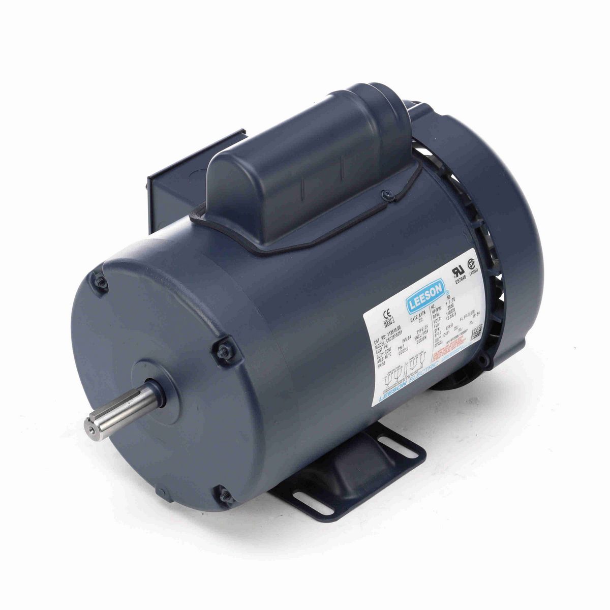 LEESON Special Voltage Motor, 1 HP, 1 Ph, 50 Hz, 110/220 V, 3000 RPM, 56 Frame, TEFC - 113919.00