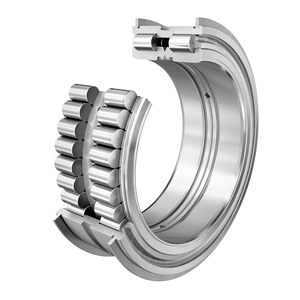 Цилиндрический роликоподшипник INA SL045036-PP-2NR-C3