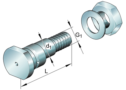 Опорный ролик FAG LFE40X107-A1-RB