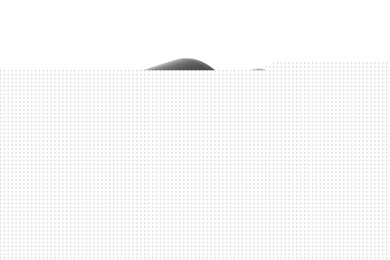 Игольчатый опорный ролик с цапфой RBC CS32LWX, бочкообразный, регулируемый эксцентриковый, с уплотнением, с шестигранным отверстием