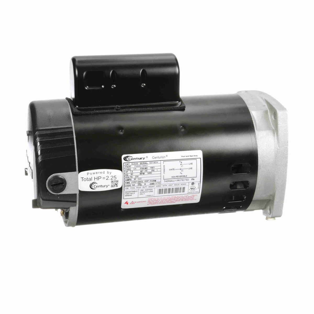Century Pool Pump Motor, 1.5 HP, 1 Ph, 60 Hz, 230 V, 3600 RPM, 56Y Frame, ODP - B2849