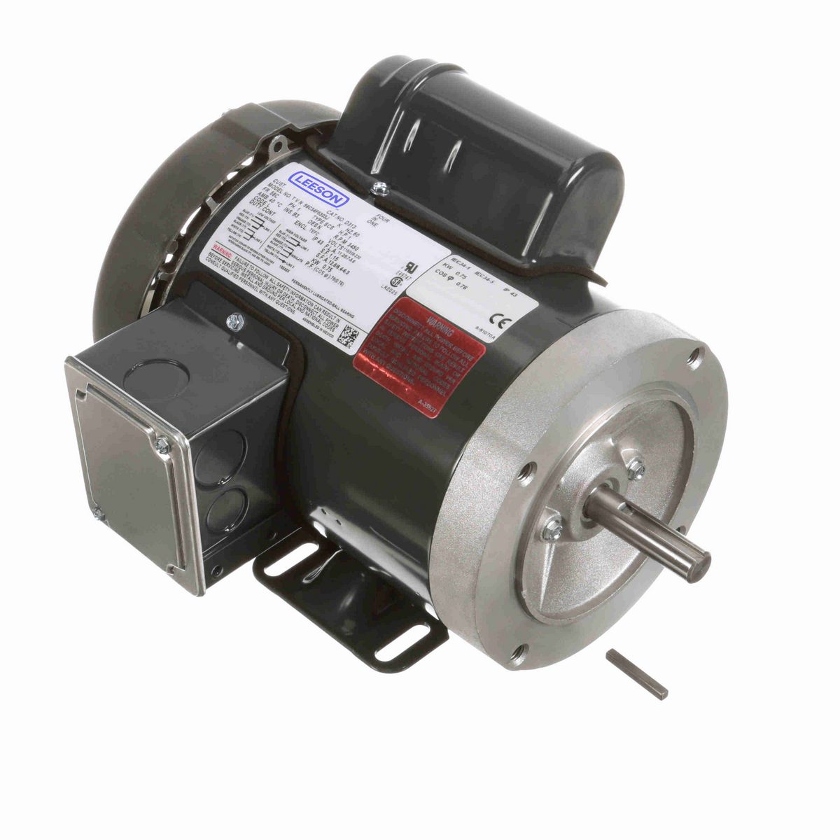 LEESON General Purpose Motor, 1 HP, 1 Ph, 60 Hz, 115/208-230 V, 3600 RPM, 56C Frame, TEFC - D313