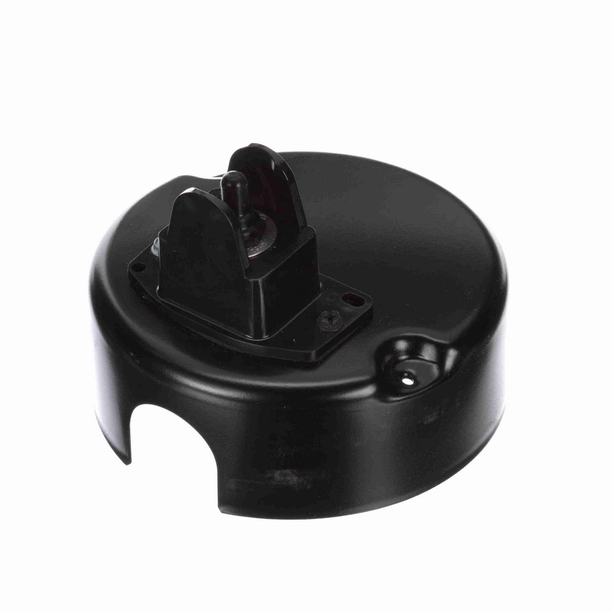 Century Pool Pump Motor - 1011431-001