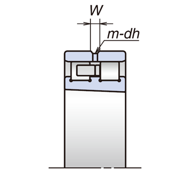Высокоточный двухрядный цилиндрический роликоподшипник NSK NN3936MBE44CC1P4