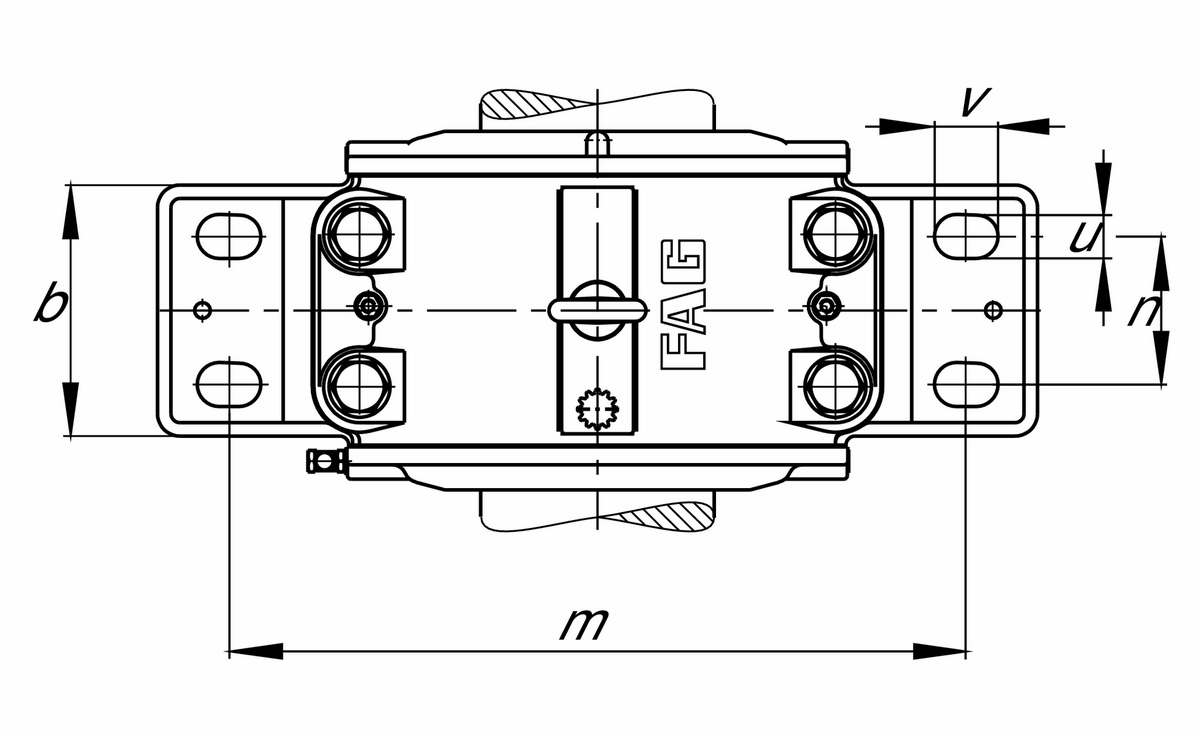Стационарный корпус FAG LOE226-N-BF-L
