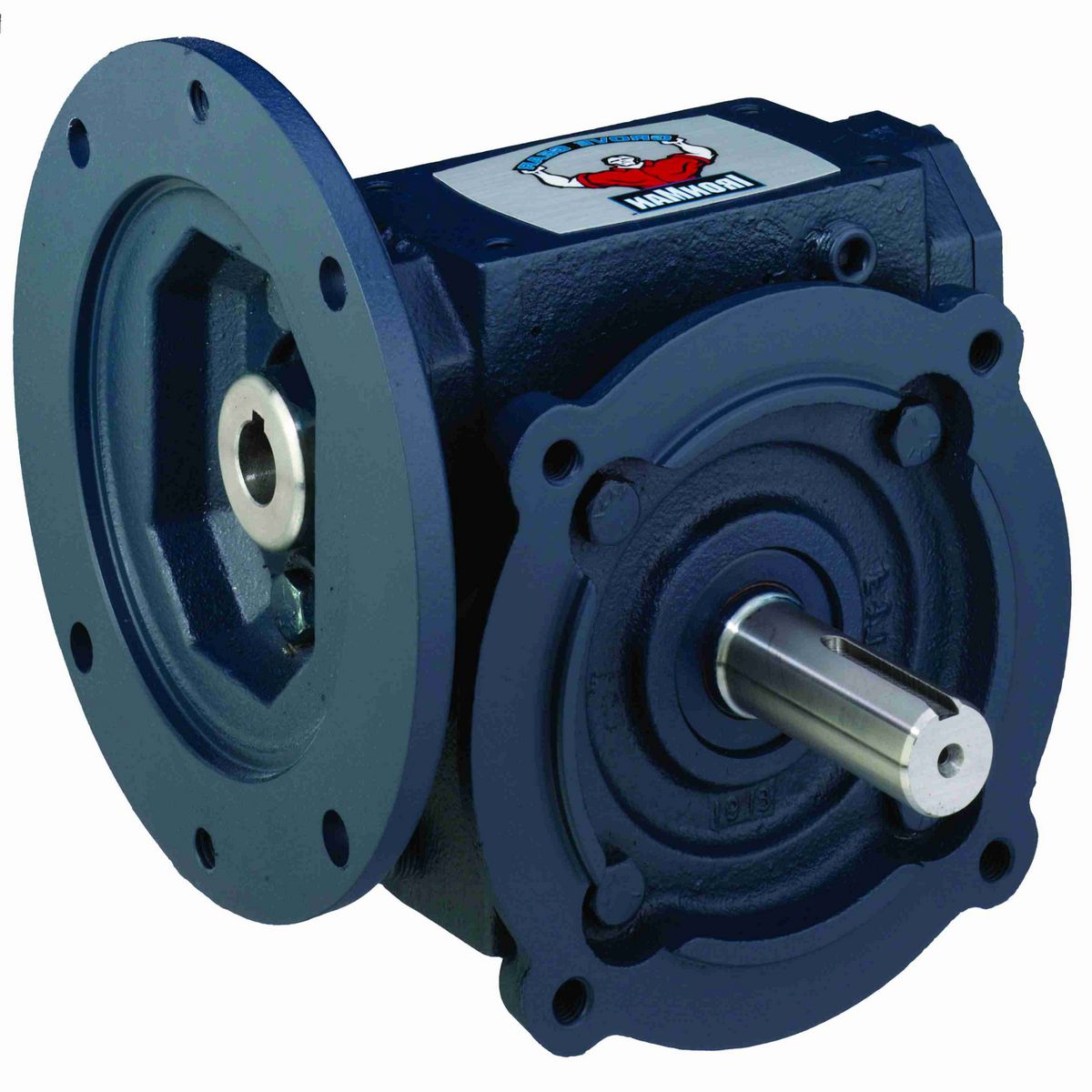 Grove Gear GR Series - Ironman Worm Gear Reducers Cast Iron Single-Reduction Worm Reducer - GR-CMQ813-30-R-48