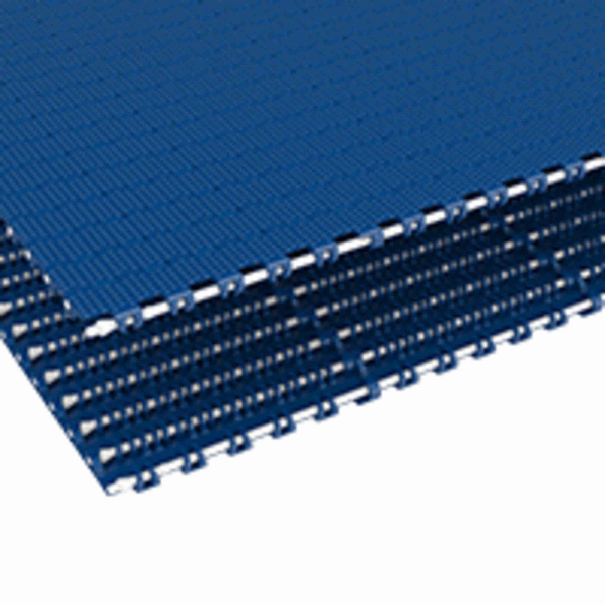 Rexnord 1011 Straight Running Nub Top, Material: Blue Low Temperature, Width: 8in, Pitch: 1in - 10683341