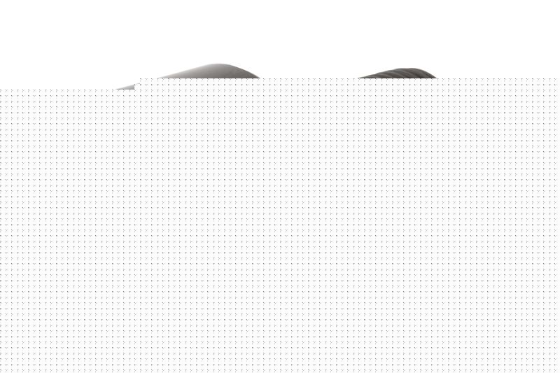 Игольчатый опорный ролик с цапфой RBC CH40L, бочкообразный, повышенной грузоподъемности, с уплотнением, со шлицем под отвёртку