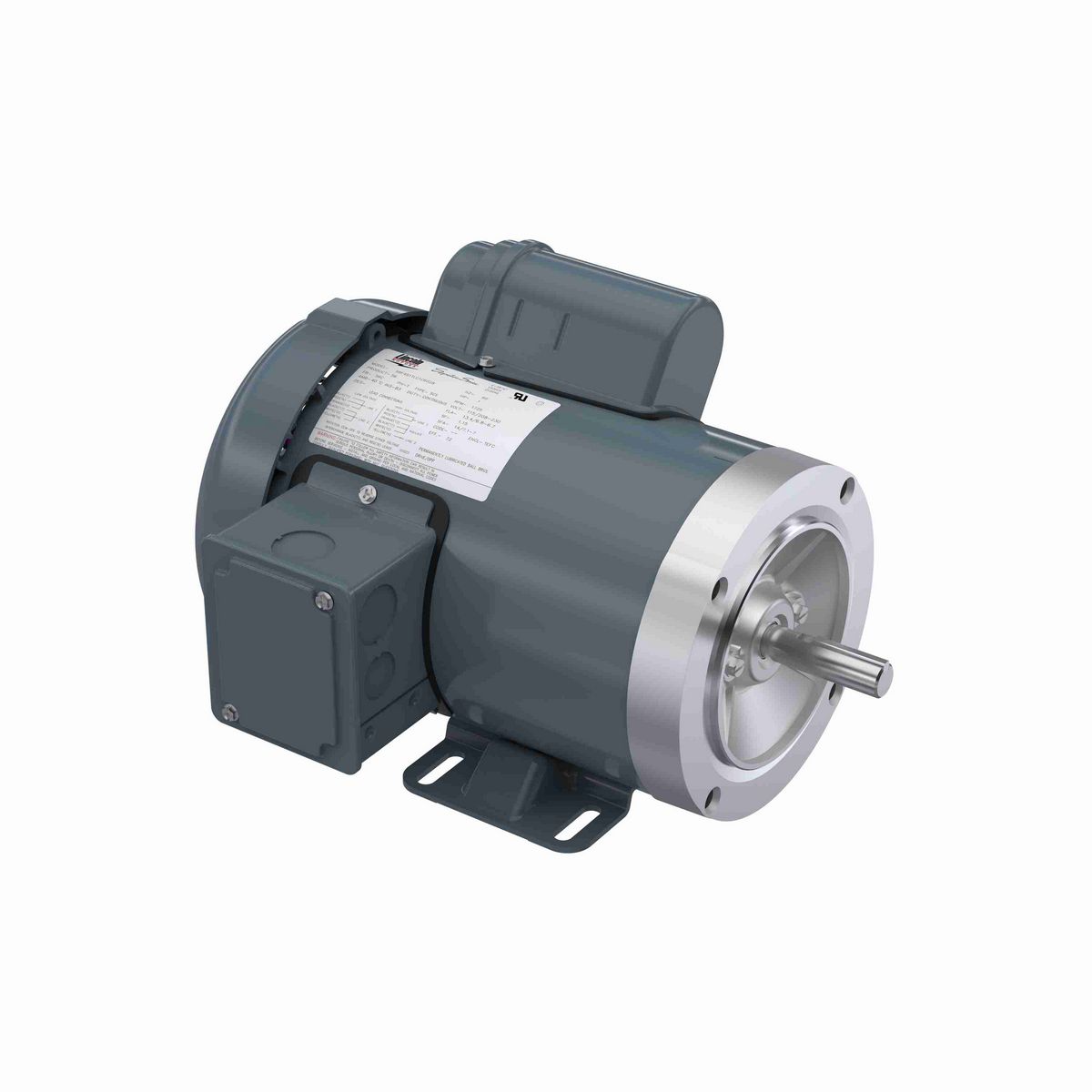 LEESON General Purpose Motor, 1 HP, 1 Ph, 60 Hz, 115/208-230 V, 1800 RPM, 56C Frame, TEFC - LM24616
