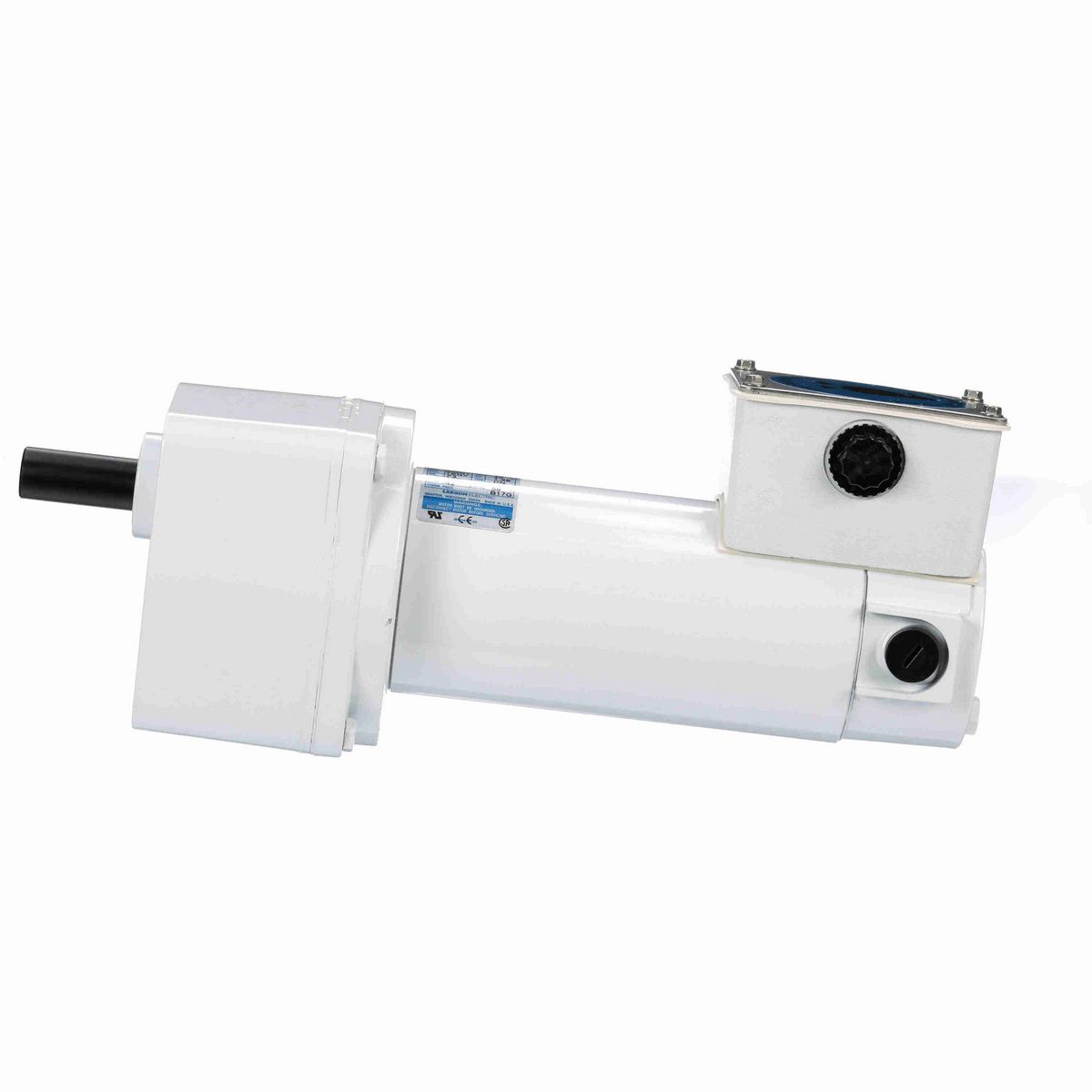 LEESON White Duck™ Parallel Shaft Gearmotor, 0.25 HP, 90 V, 42 RPM, 32 Frame - M1125269.00