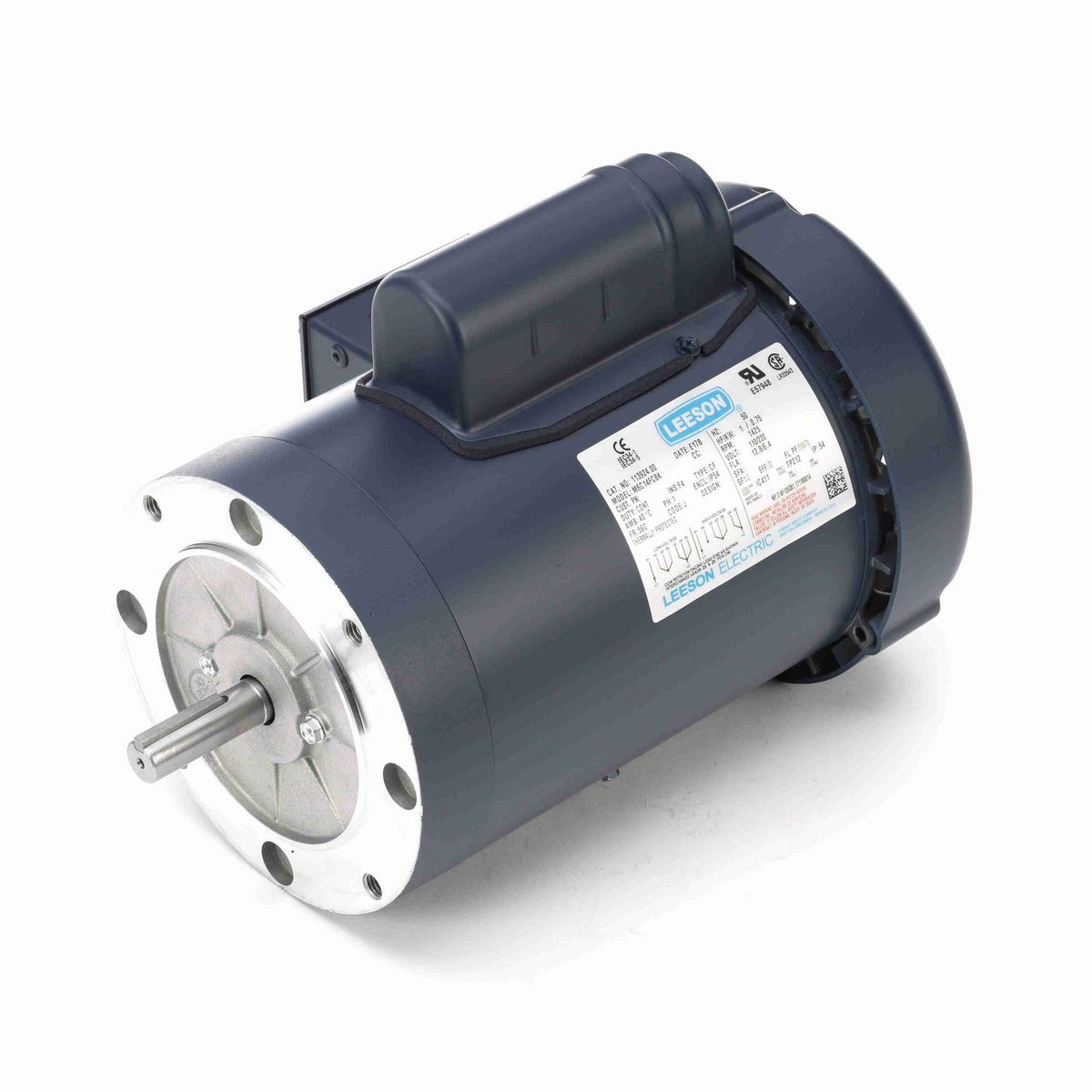 LEESON Special Voltage Motor, 1 HP, 1 Ph, 50 Hz, 110/220 V, 1500 RPM, 56C Frame, TEFC - 113924.00