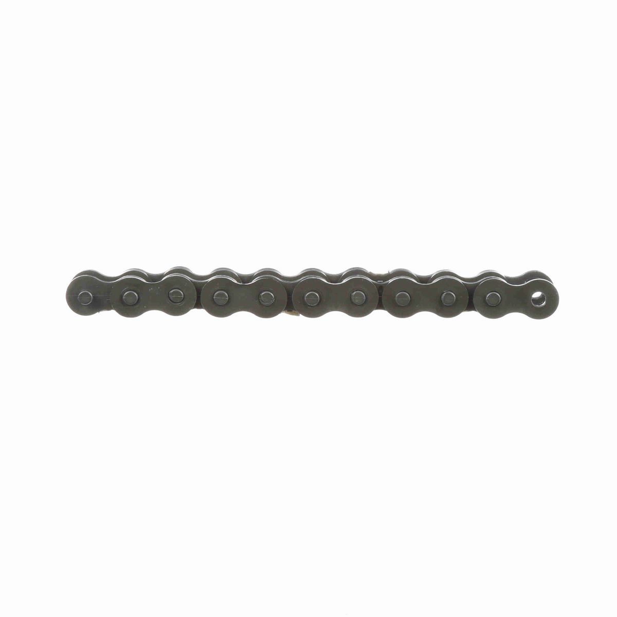 Morse NYLATRON THERMOPLASTIC CHAIN - 40 NYLATRON 10 FT