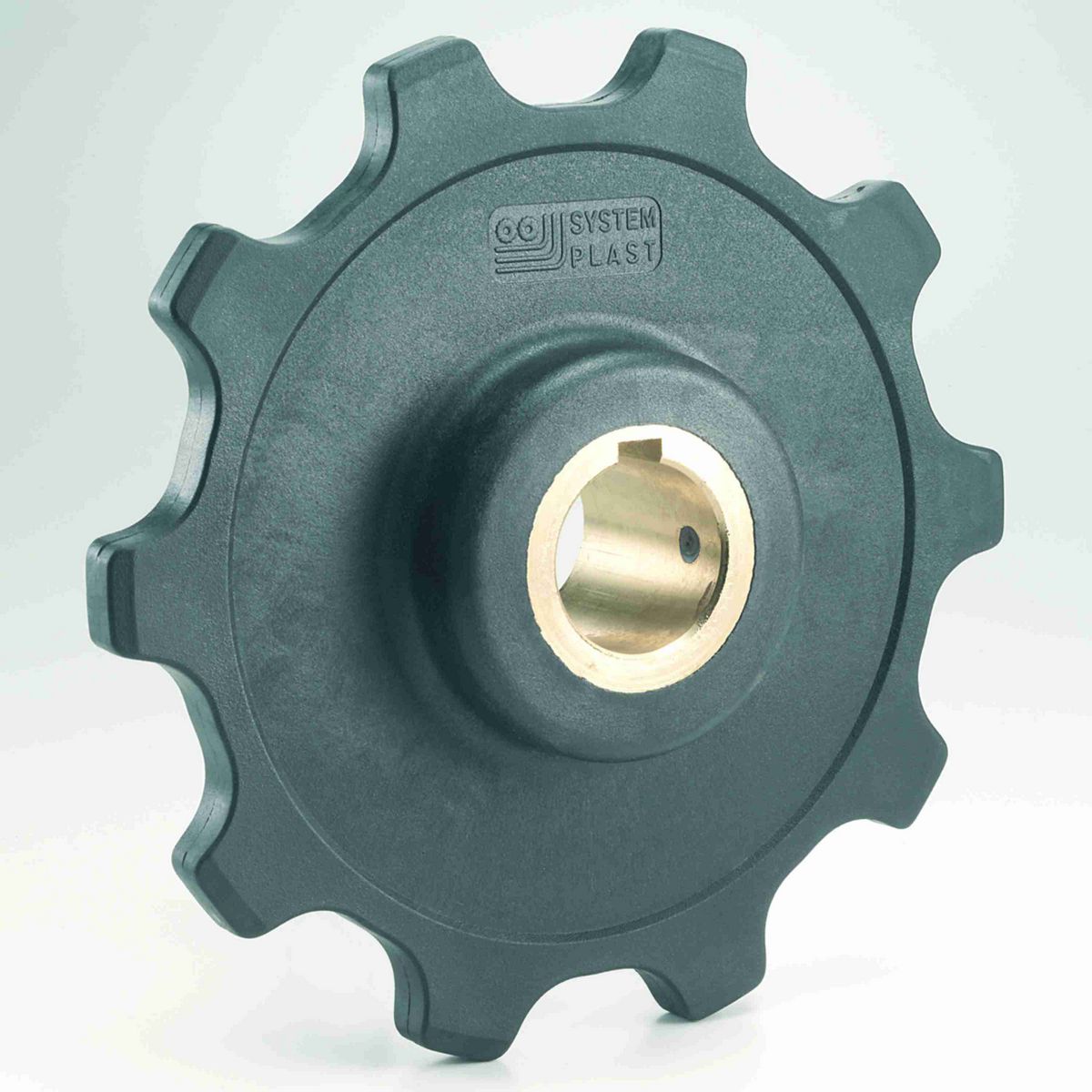 System Plast 1700 Series Solid One Piece Molded Sprocket with 8 Teeth and a 25mm Round Shaft-Ready Bore - 1700-8R25M-D