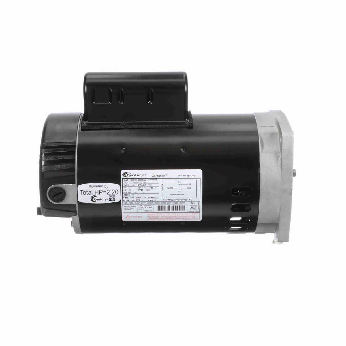 Century Pool Pump Motor, 2 HP, 1 Ph, 60 Hz, 230 V, 3600 RPM, 56Y Frame, ODP - B2855