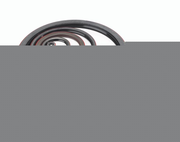 Oil Seals Inch Timken 222BULK