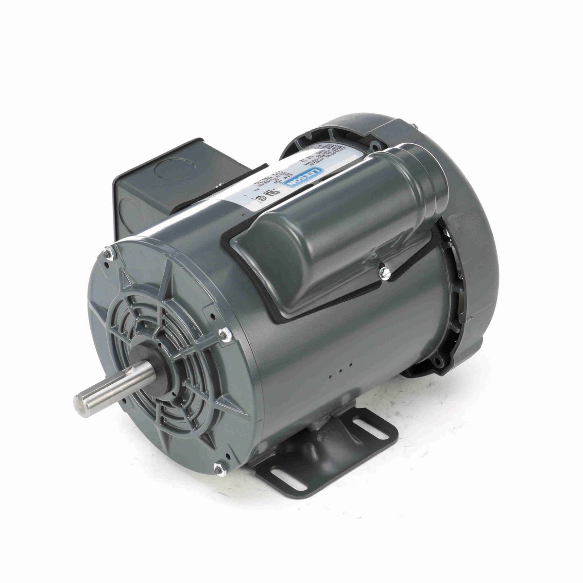 LEESON Agricultural Motor, 0.33 HP, 1 Ph, 60 Hz, 115/230 V, 1800 RPM, 56 Frame, TEFC - 117862.00